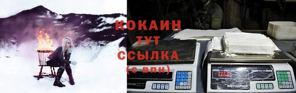 мяу мяу мука Зерноград