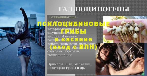 спиды Зеленокумск