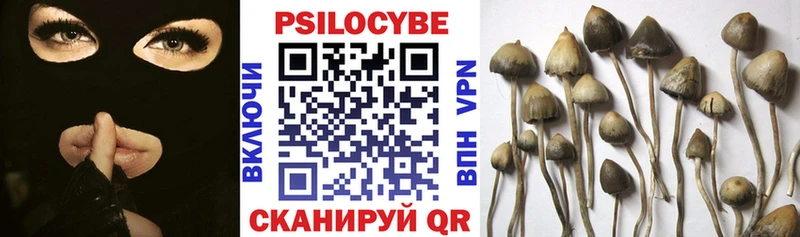 Купить  Приморск  Псилоцибиновые грибы Magic Shrooms 